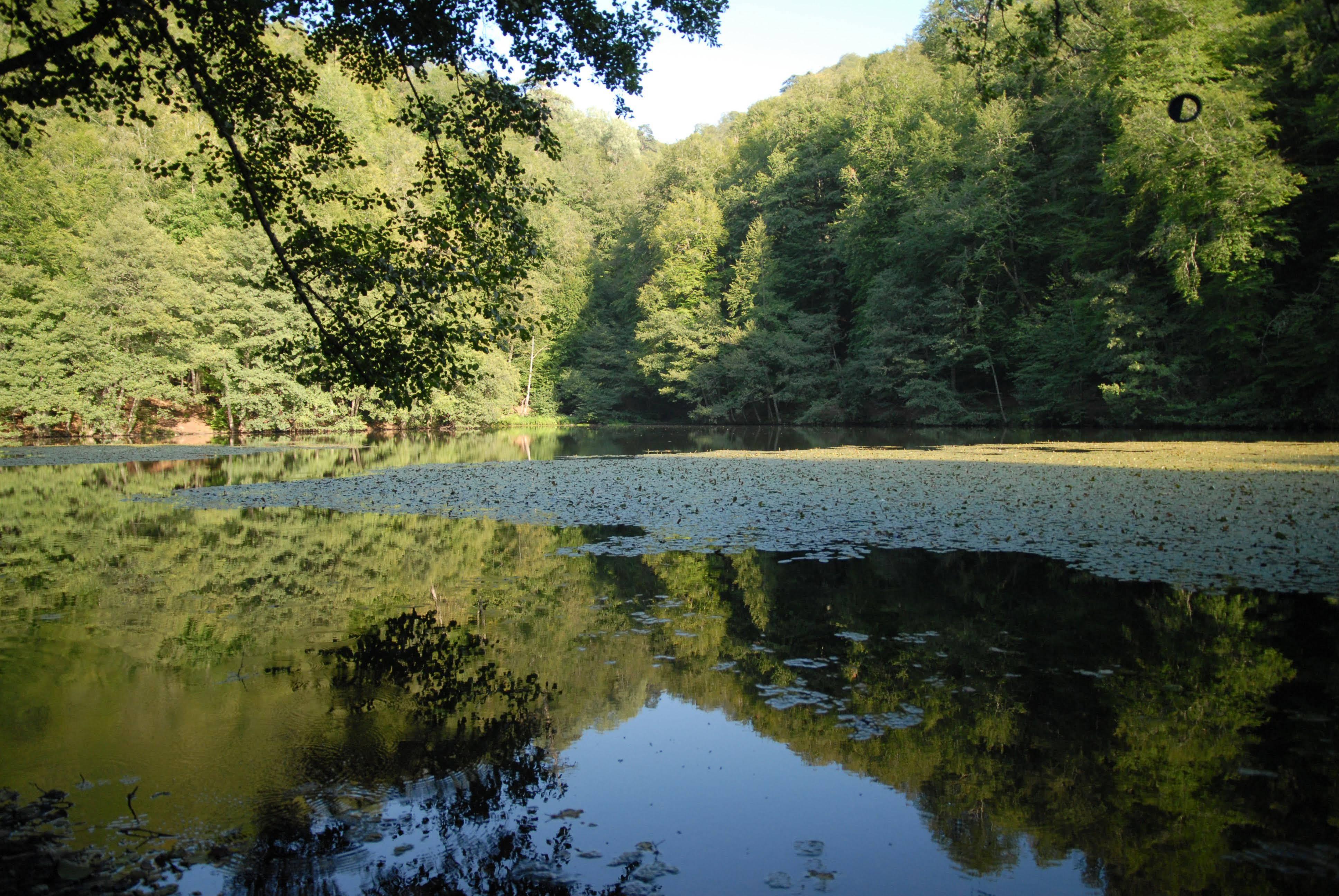 Bolu Termal Hotel Buitenkant foto